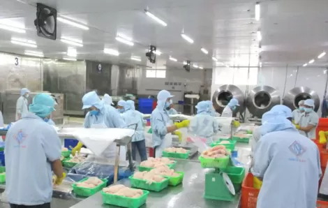 Đảm bảo cấp điện an toàn, tin cậy cho thành phố