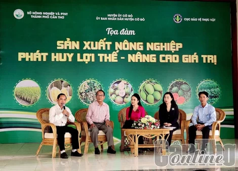 Tìm giải pháp phát huy lợi thế, nâng cao giá trị nông sản
