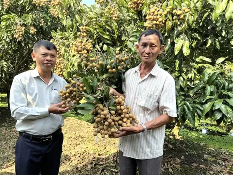 Lan tỏa phong trào nông dân sản xuất kinh doanh giỏi