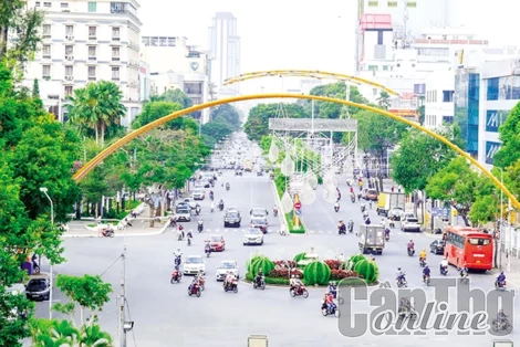 Cả nước còn hơn 1,17 triệu héc-ta đất chưa sử dụng