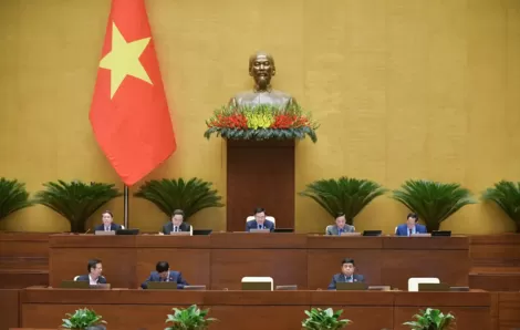 Gỡ vướng mâu thuẫn văn bản pháp luật sẽ khắc phục được tình trạng cán bộ sợ trách nhiệm