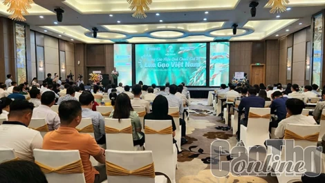 Bàn giải pháp nâng cao hiệu quả chuỗi giá trị lúa gạo Việt Nam
