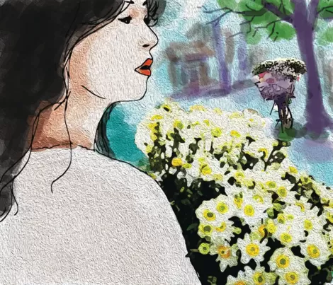 Hoa cúc họa mi hôm đó