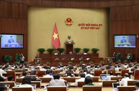 Tiến hành hoạt động chất vấn và trả lời chất vấn