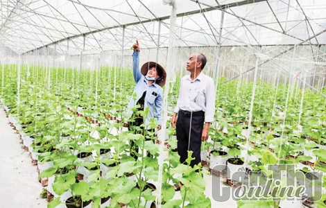 Nâng cao hiệu quả công tác khuyến nông