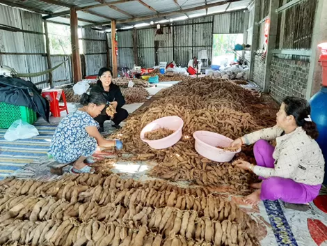 Chi bộ khu vực An Hưng làm theo Bác