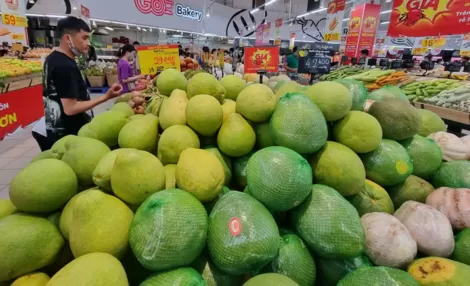 Giá bưởi da xanh khởi sắc