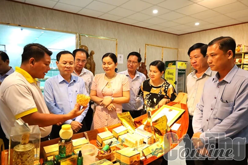Sớm phát triển Phong Điền thành đô thị theo định hướng mới của thành phố