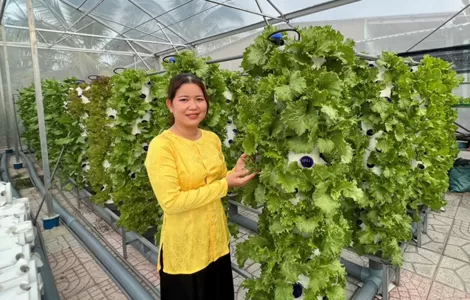 Khởi nghiệp với mô hình trồng rau thủy canh trụ đứng