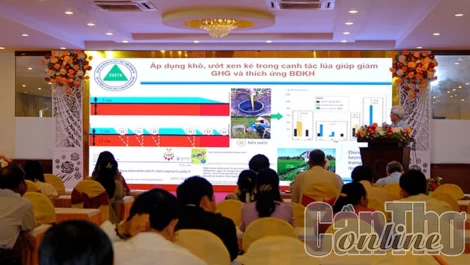 Bàn giải pháp giảm phát thải khí nhà kính trong sản xuất nông nghiệp