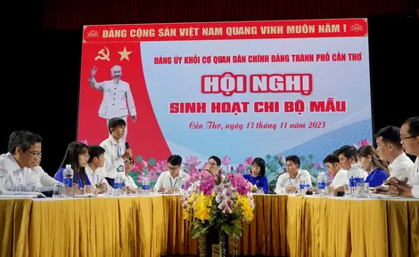 Tổ chức sinh hoạt chi bộ mẫu