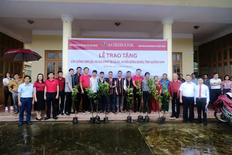 Đoàn Thanh niên Agribank hỗ trợ cây giống cho người dân huyện Đông Giang, tỉnh Quảng Nam