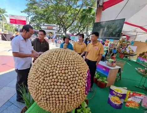 Đồng Tháp: Tổ chức Ngày hội Hội quán Đất sen hồng