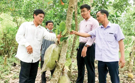Hỗ trợ duy trì và mở rộng việc làm