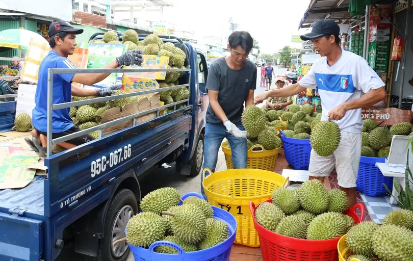 Tiềm năng phát triển xuất khẩu vào khu vực Đông Bắc Á