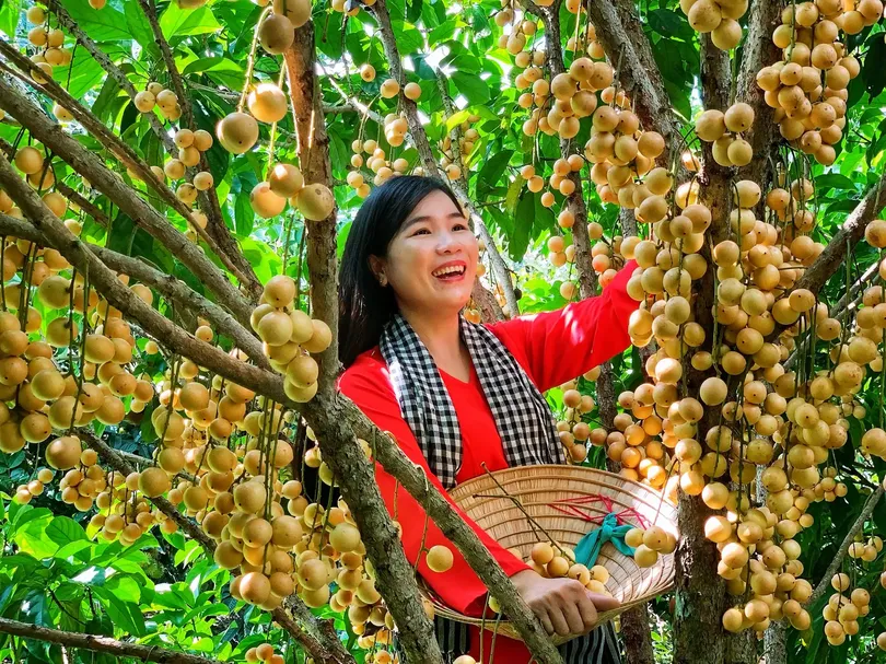 Phát động cuộc thi ảnh nghệ thuật “Ảnh đẹp du lịch Cần Thơ” năm 2023