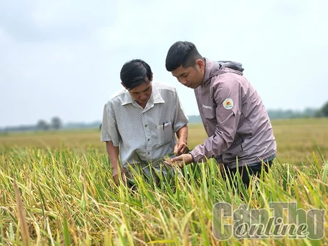 Tìm hướng xúc tiến xuất khẩu xanh