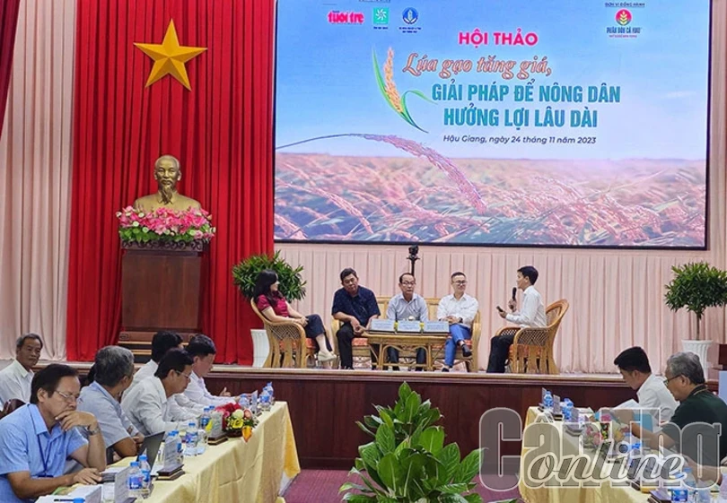 Tìm giải pháp giúp nông dân trồng lúa được hưởng lợi lâu dài
