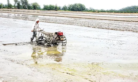Tổ chức tốt sản xuất để thắng lợi vụ đông xuân