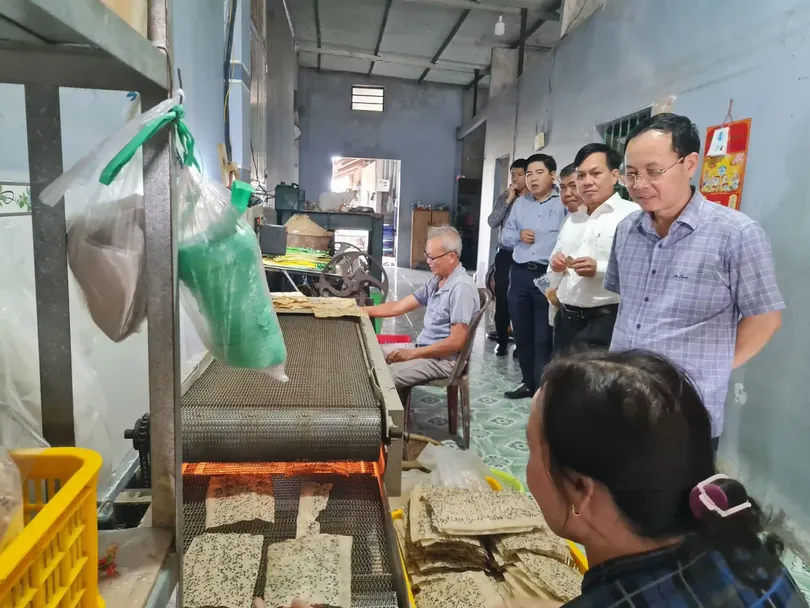 Hỗ trợ liên kết sản xuất, phát triển nông nghiệp