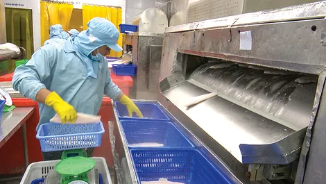 Doanh nghiệp cần chủ động xây dựng chiến lược chuyển đổi xanh