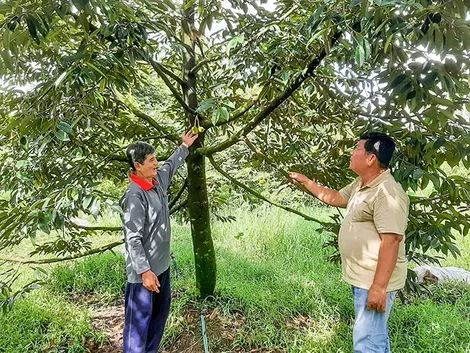 Bí thư Chi bộ khéo vận động nhân dân