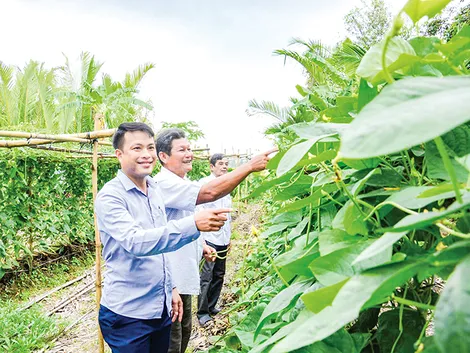 Vành đai rau xanh giúp dân thoát nghèo