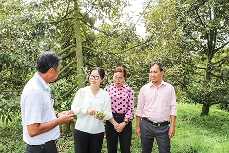 Huyện Thới Lai nỗ lực hoàn thành nhiệm vụ
