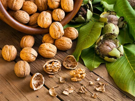 8 lý do nên ăn quả óc chó mỗi ngày