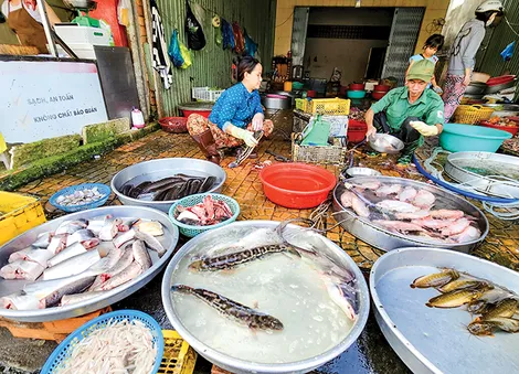 Giá nhiều loại cá nuôi giảm