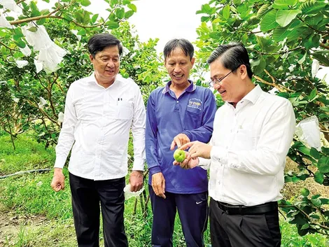 Ô Môn tạo dấu ấn đô thị công nghiệp