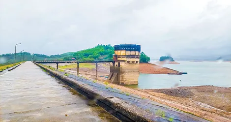 Về Nghệ Tĩnh...Bài cuối: “Kẻ Gỗ là đây, bao năm đợi tháng chờ”