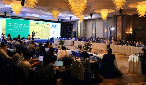 Chính sách phát triển ĐBSCL nhìn từ liên kết vùng và cơ chế hợp tác giữa các địa phương
