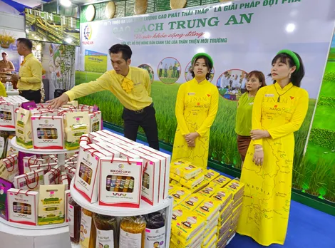 Khai mạc Festival Quốc tế ngành lúa gạo Việt Nam - Hậu Giang năm 2023