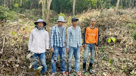 Bắt 4 đối tượng chặt phá rừng ở Phú Quốc