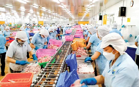 Cấp bách gỡ khó cho xuất khẩu thủy sản