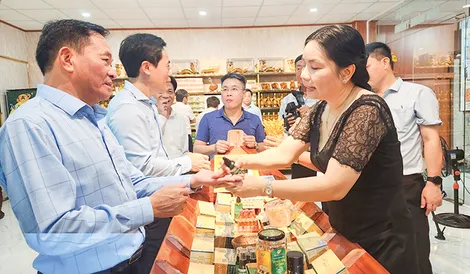 Chạy nước rút hoàn thành mục tiêu xã nông thôn mới nâng cao, kiểu mẫu