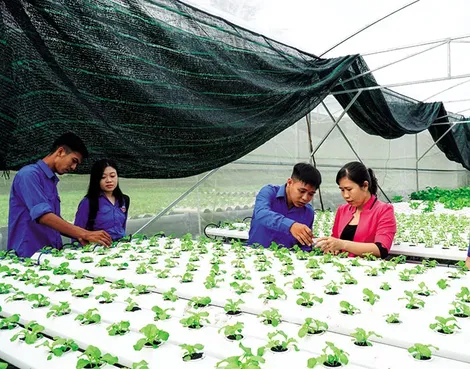 Ðồng hành cùng thanh niên lập thân, lập nghiệp