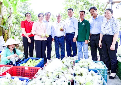 Phát huy vai trò của các cấp Hội Nông dân trong bảo vệ nền tảng tư tưởng của Đảng