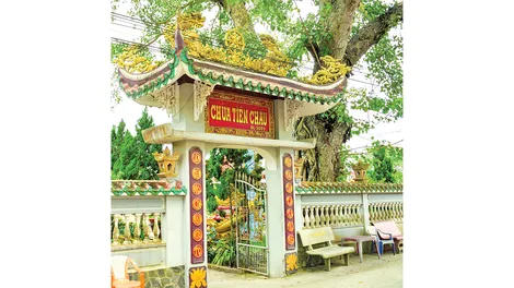Chùa Tiên Châu ở Vĩnh Long