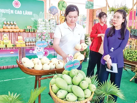 Mô hình hội quán nông dân tại Đồng Tháp mang lại  lợi ích thiết thực