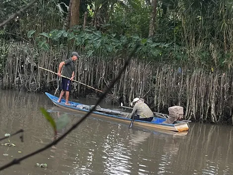 Khai thác tận diệt