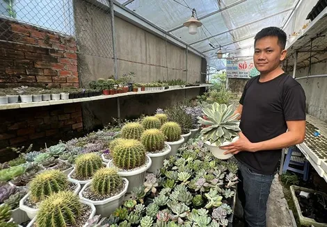 Khởi nghiệp thành công với mô hình kinh doanh xương rồng, sen đá