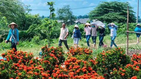 Cần Thơ dự kiến đón 6,1 triệu lượt khách trong năm 2024