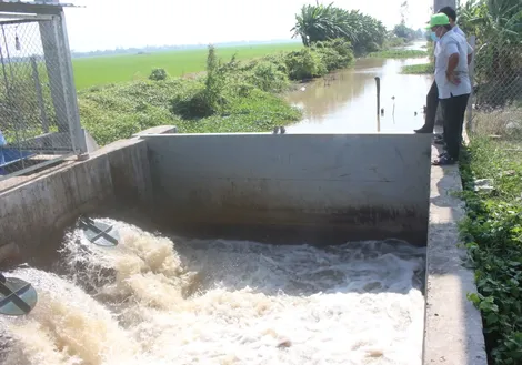 Xâm nhập mặn sẽ tăng cao tại vùng ĐBSCL vào kỳ triều cường rằm tháng 11 âm lịch