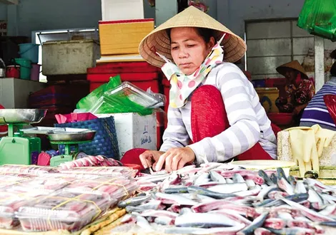 Gỏi cá trích kiểu... Phú Quốc