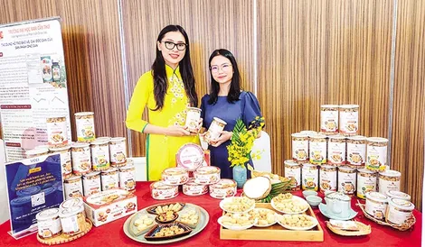 Nuôi dưỡng, ươm mầm các ý tưởng khởi nghiệp