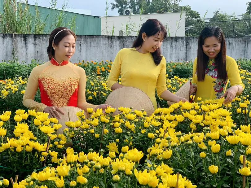Phát triển du lịch nông nghiệp gắn với làng nghề tại Cần Thơ