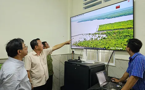 “Mắt thần” giữ rừng ở Vườn Quốc gia Mũi Cà Mau