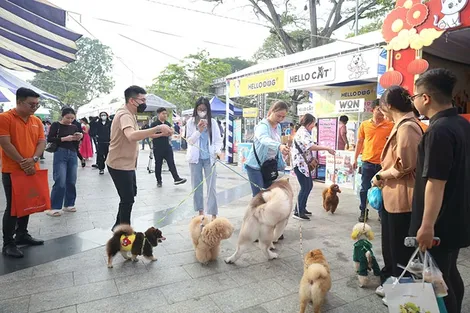 Festival Thú cưng ÐBSCL lần 2 tại Cần Thơ